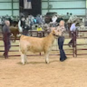 Meet your Posher, Savannah